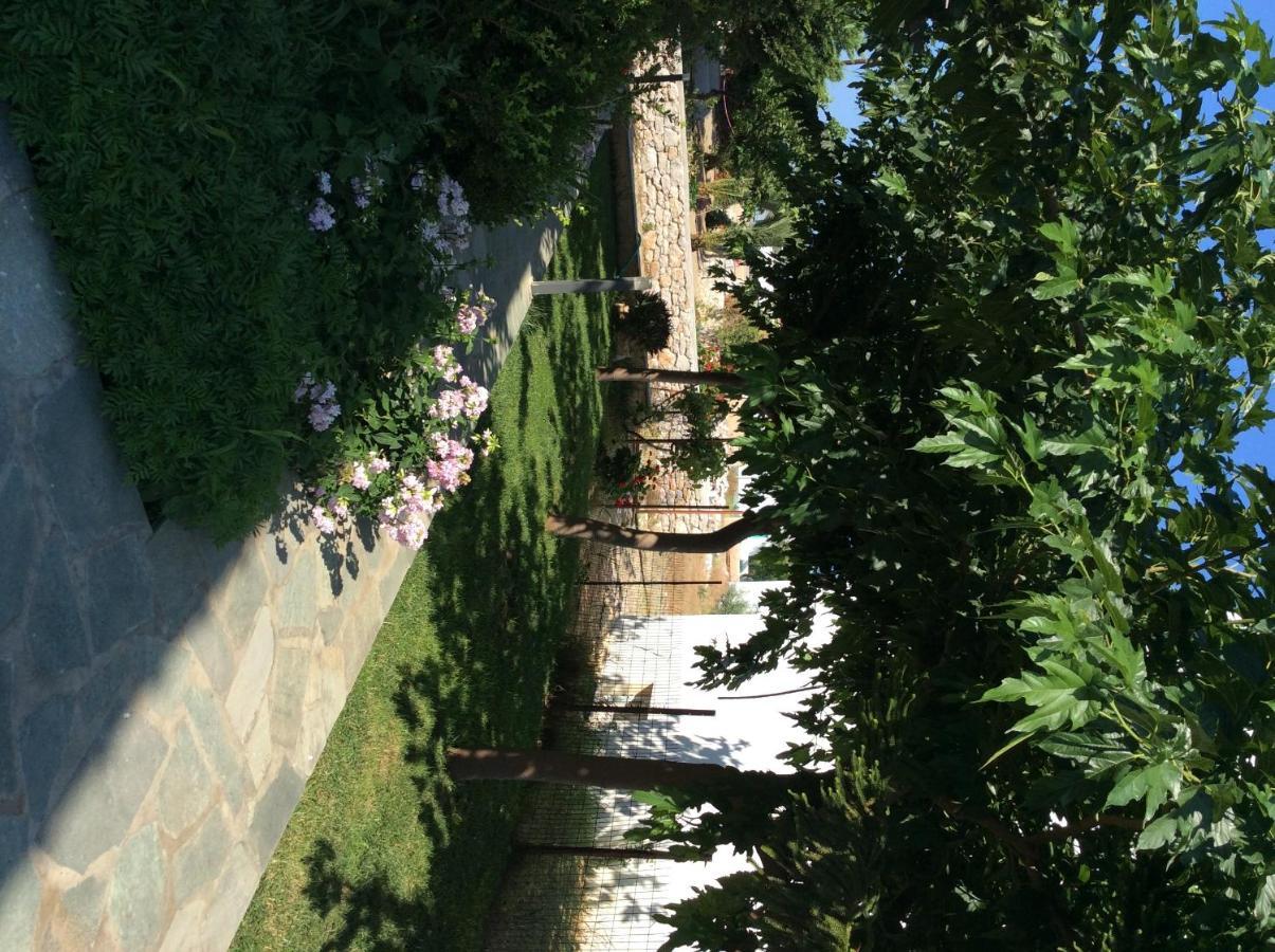 Eleana Studios Skyros Exterior foto