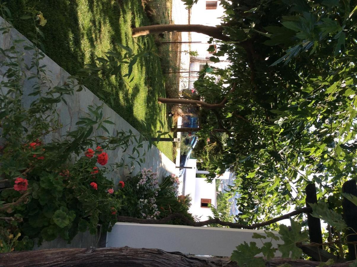 Eleana Studios Skyros Exterior foto