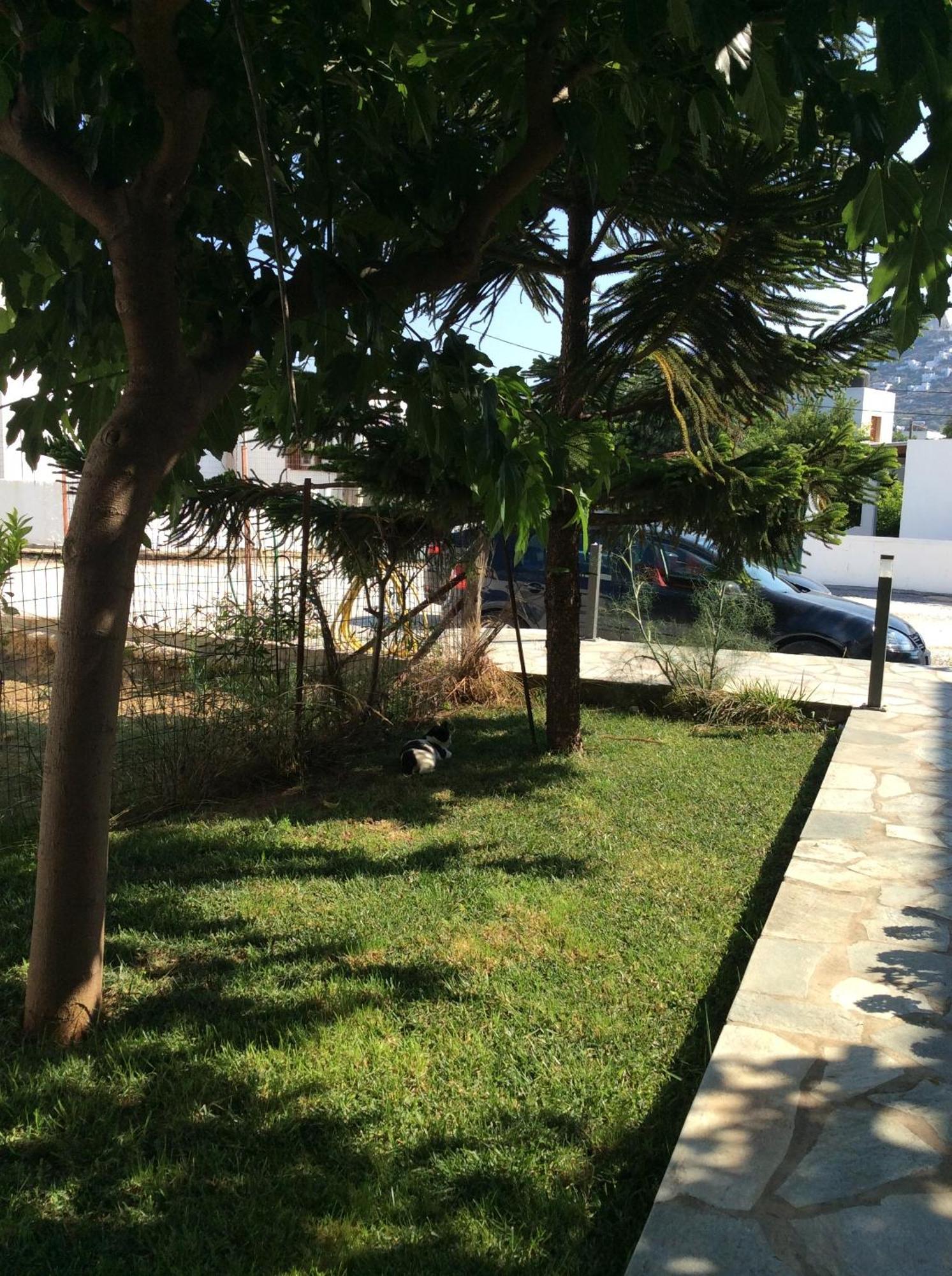 Eleana Studios Skyros Exterior foto